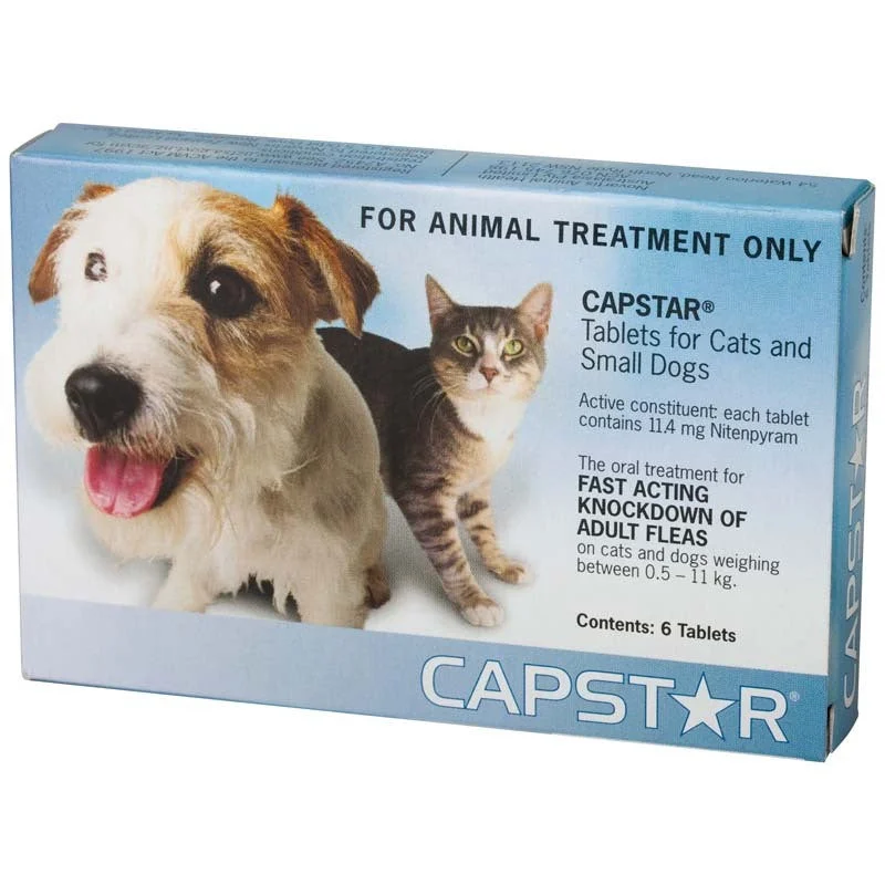 - Wooden pet toy recommendationsCapstar Flea Treatment for Small Dogs & Cats