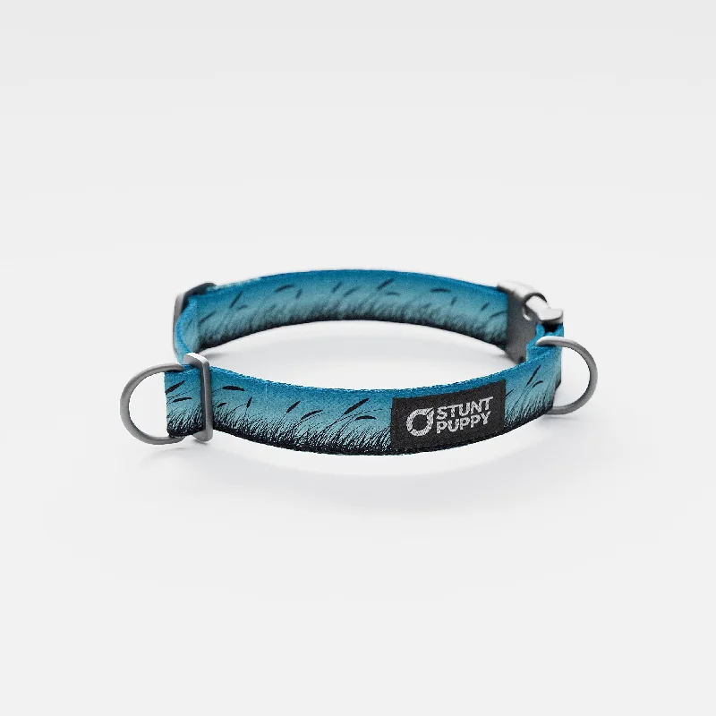  . **Dog collar is luminous and reflective**Marsh Blue Everyday Collar