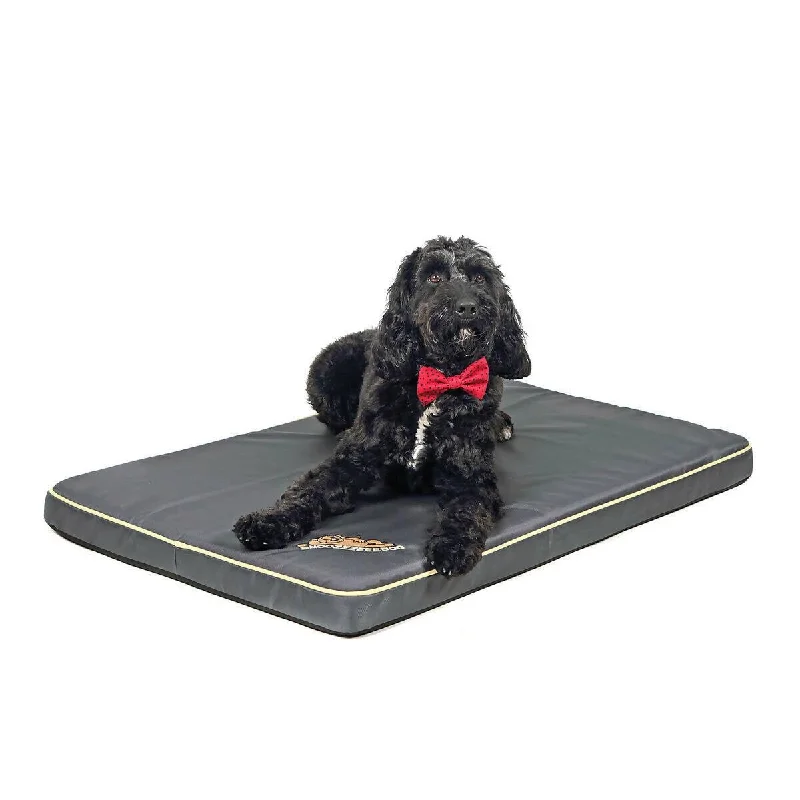 - ​​Pet toys under    yuanSnoozzzeee Dog Xtreme Water Resistant Pet Mat in Two Colours, 70cm x 100cm