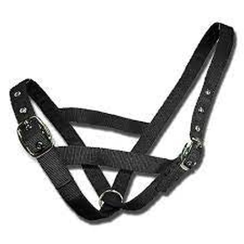  -Splash-proof food bowl AND Anti-choking slow food bowlBainbridge Cattle Halter - Heifer - Black