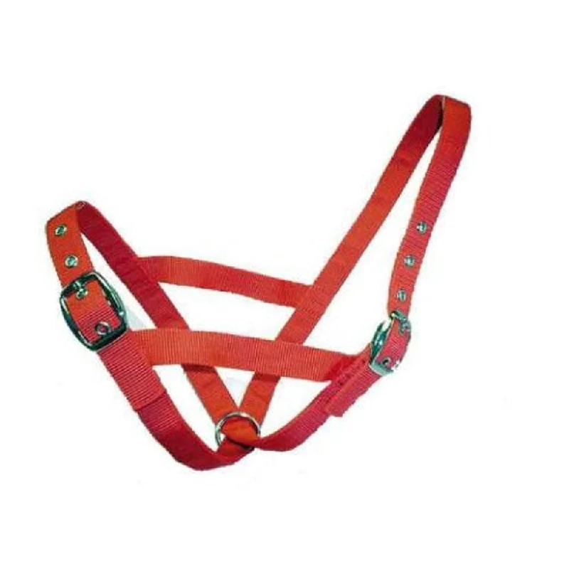 - Winter warm clothes for short-haired dogsBainbridge Cattle Halter - Calf - Red