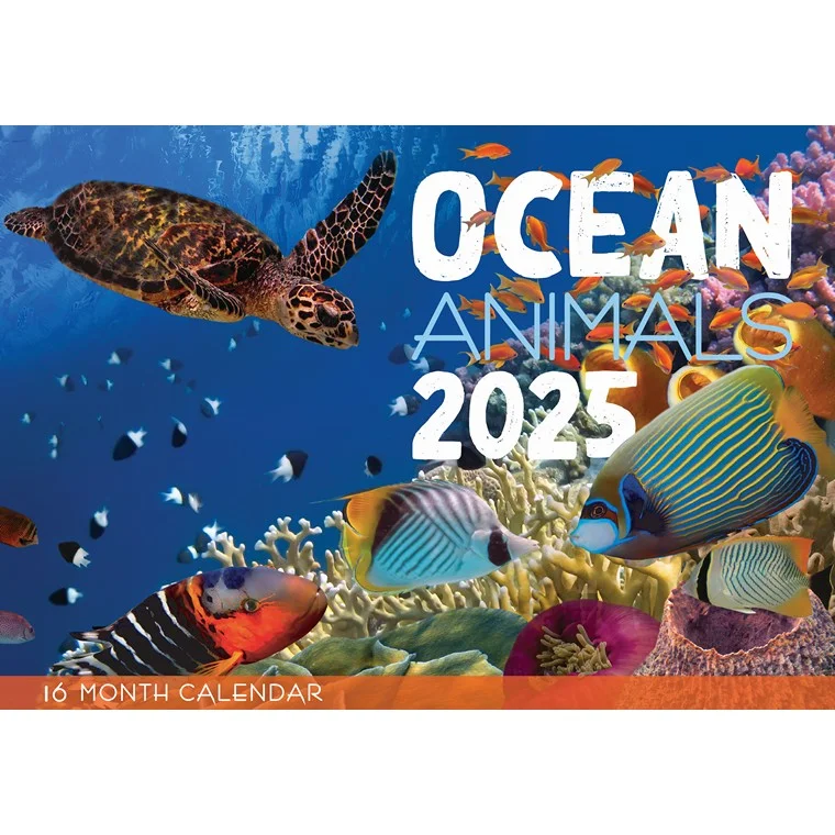 - Cat anti-jump window safety netOcean Animals 2025 Calendar