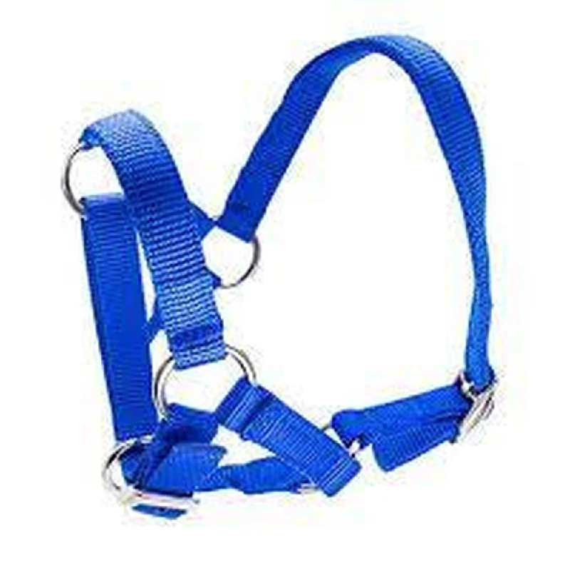  -Explosion-proof leash FOR LARGE dogsBainbridge Alpaca Halter - Blue