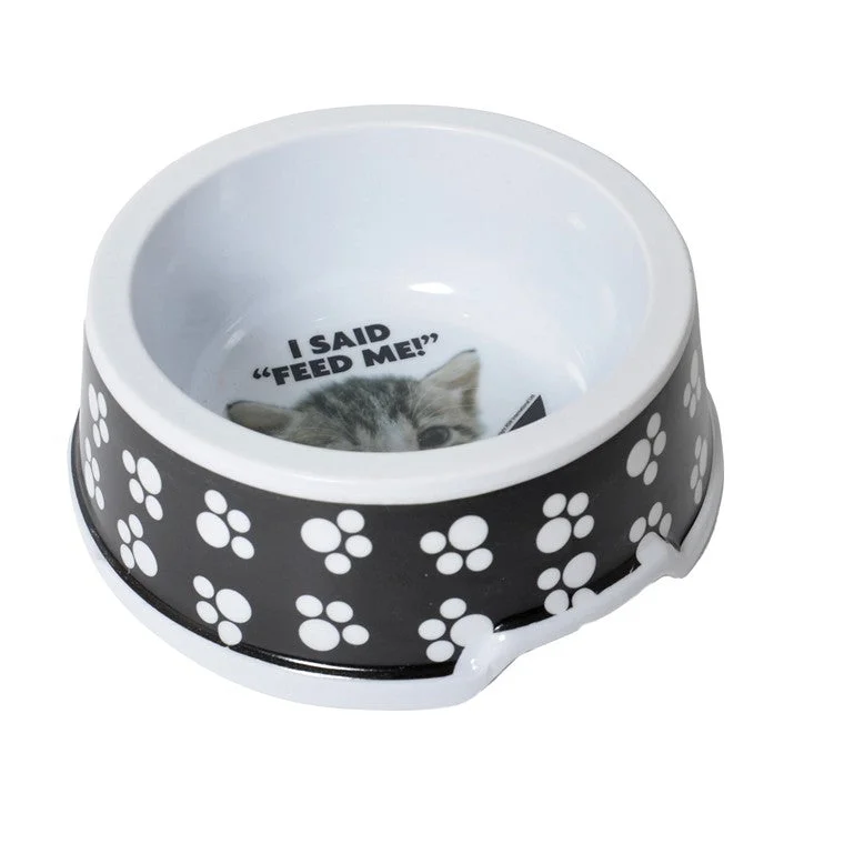  -Explosion-proof leash FOR LARGE dogsComedy Cat Bowl, Asstd