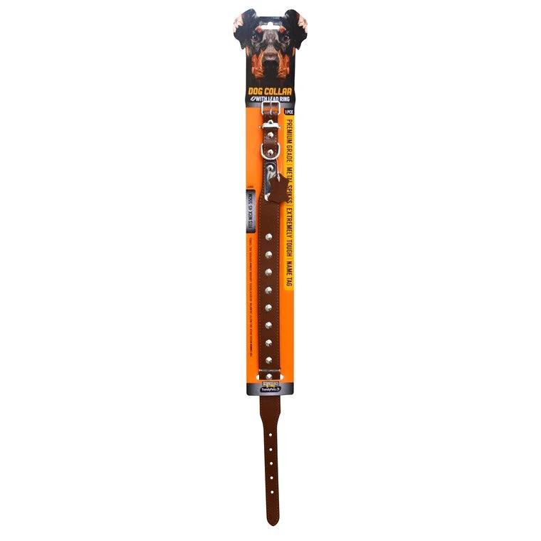 ---Dog Collar w/ Spikes, Asstd, 60cm