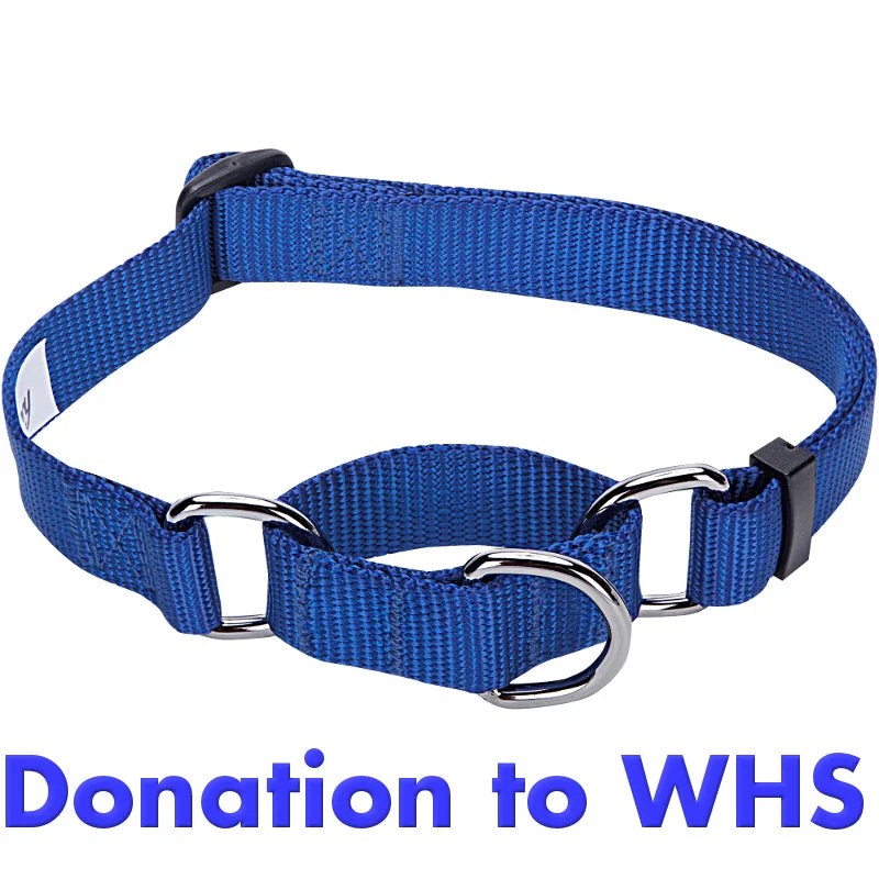 ---DONATE a Dog Collar or Leash to the Wisconsin Humane Society!