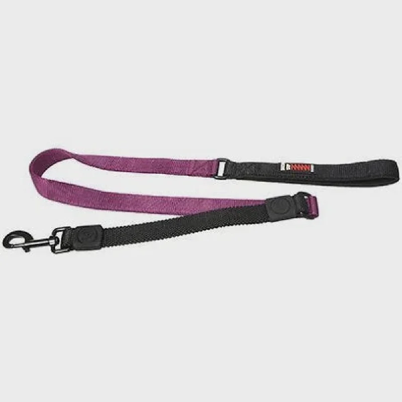 - Dog disposable foam shower gelBungee Dog Leash Neoprene Handle - Purple