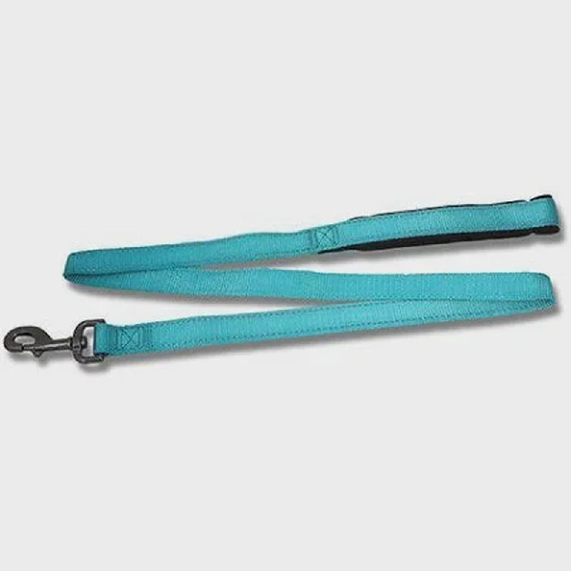 - Pet vitamin complex nutrition tabletsDog Lead Reflective 120cm x 25mm - Aqua