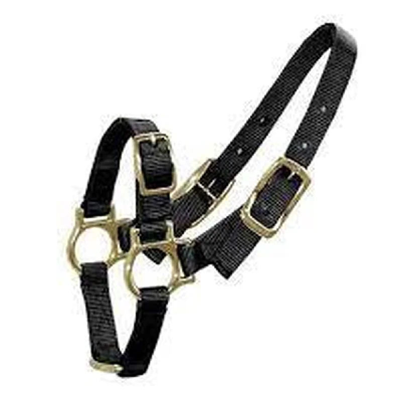 - Winter dog thick down jacketBainbridge Sheep/Goat Halter - Black