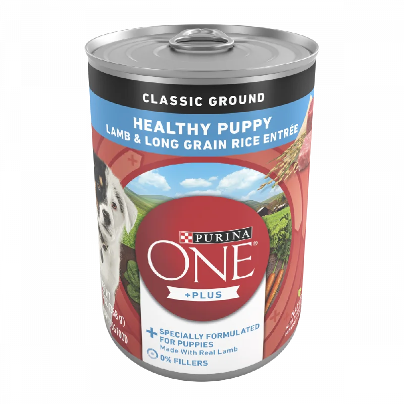 - Custom pet birthday cakePurina ONE SmartBlend Classic Healthy Puppy Ground Lamb & Long Grain Rice Canned Dog Food