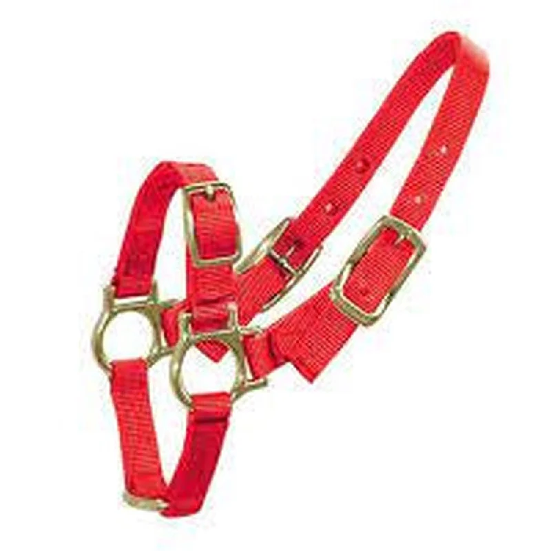 - Summer pet ice matBainbridge Sheep/Goat Halter - Red