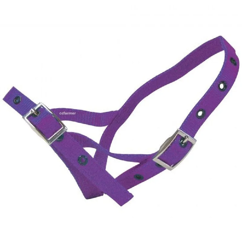 - Cat nail clippers with LED lightsShoof - Halter Nylon Calf Tethering Purple