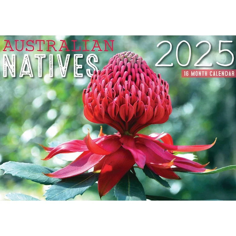 - Postoperative pet anti-licking Elizabethan collarAustralian Native Floral 2025 Calendar