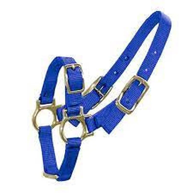 ---Bainbridge Sheep/Goat Halter - Blue