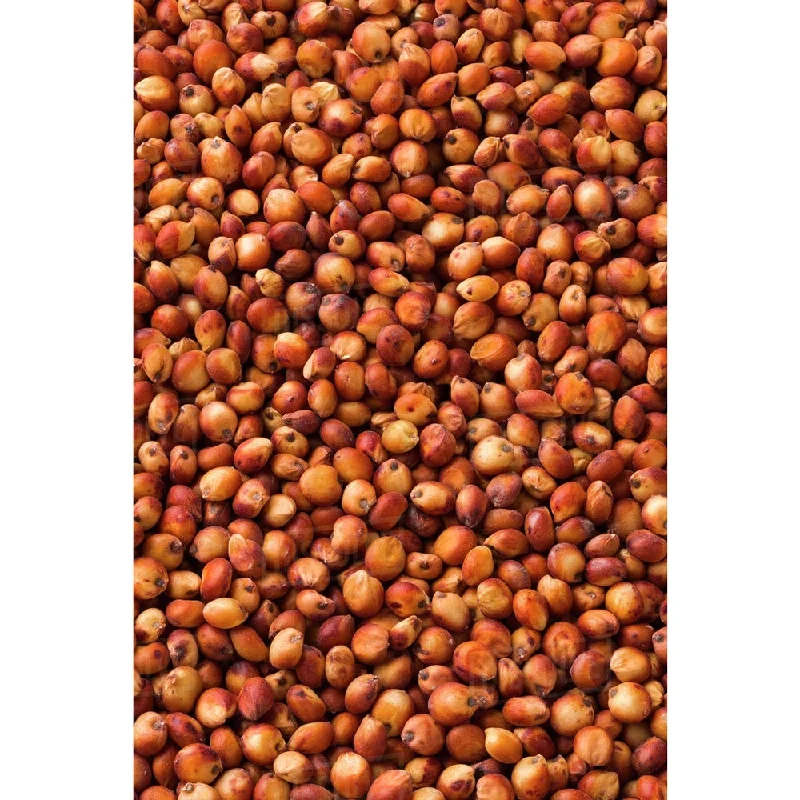 - Air box TSA certified check-inSeedhouse Sorghum 20kg