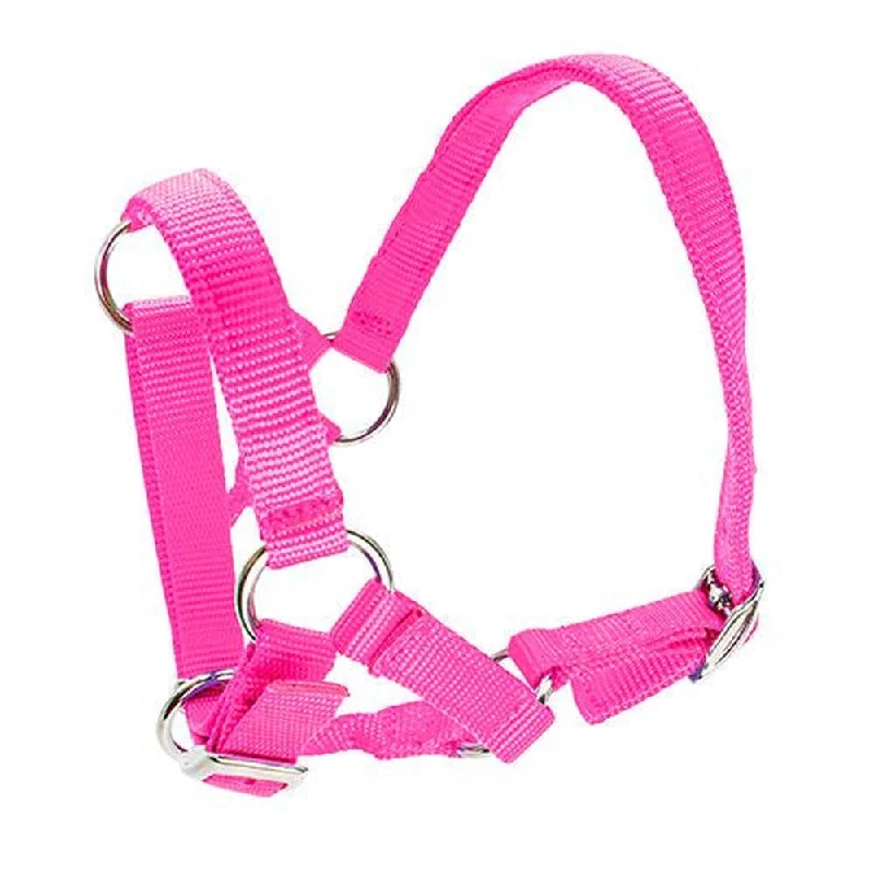 Pet ProductsBainbridge Alpaca Halter - Pink