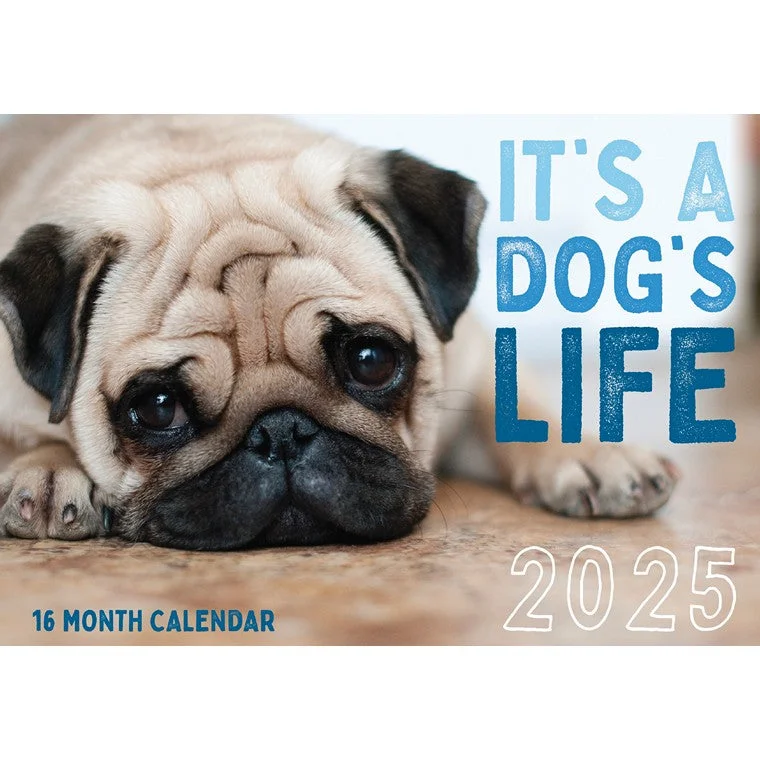  -Non-contact cat thermometerIt's a Dogs Life 2025 Calendar