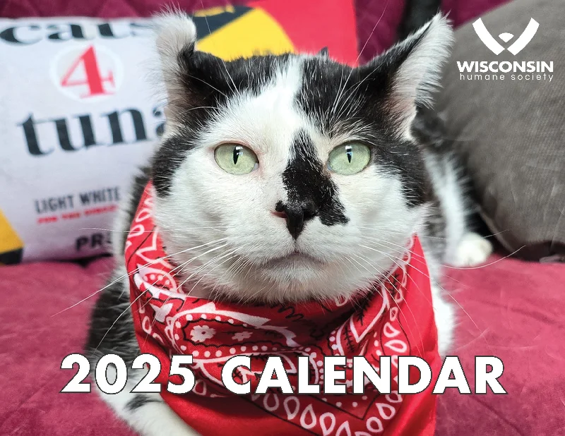 - Pet fence foldable indoor2025 Wisconsin Humane Society Calendar