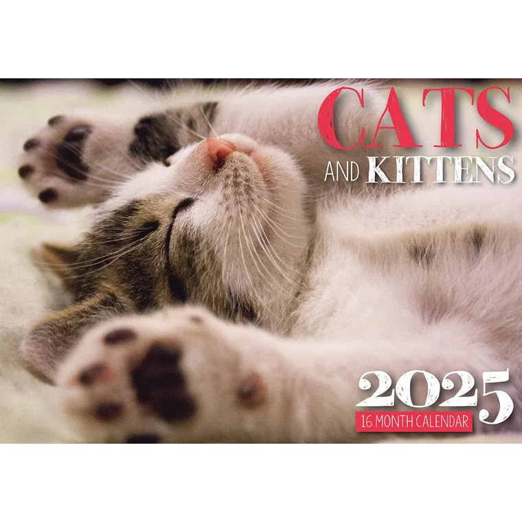 - Climbing pet constant temperature heating padCats & Kittens 2025 Calendar