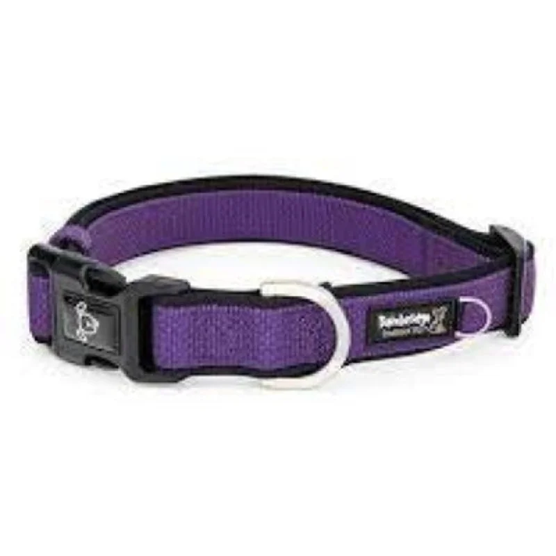 - Pregnant cat delivery room warming boxPremium Sport Neoprene Dog Collar 20-35cm - Purple