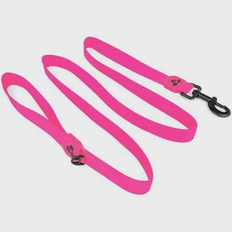 - Custom pet birthday cakeWaterproof Dog Leash (PVC) - Pink