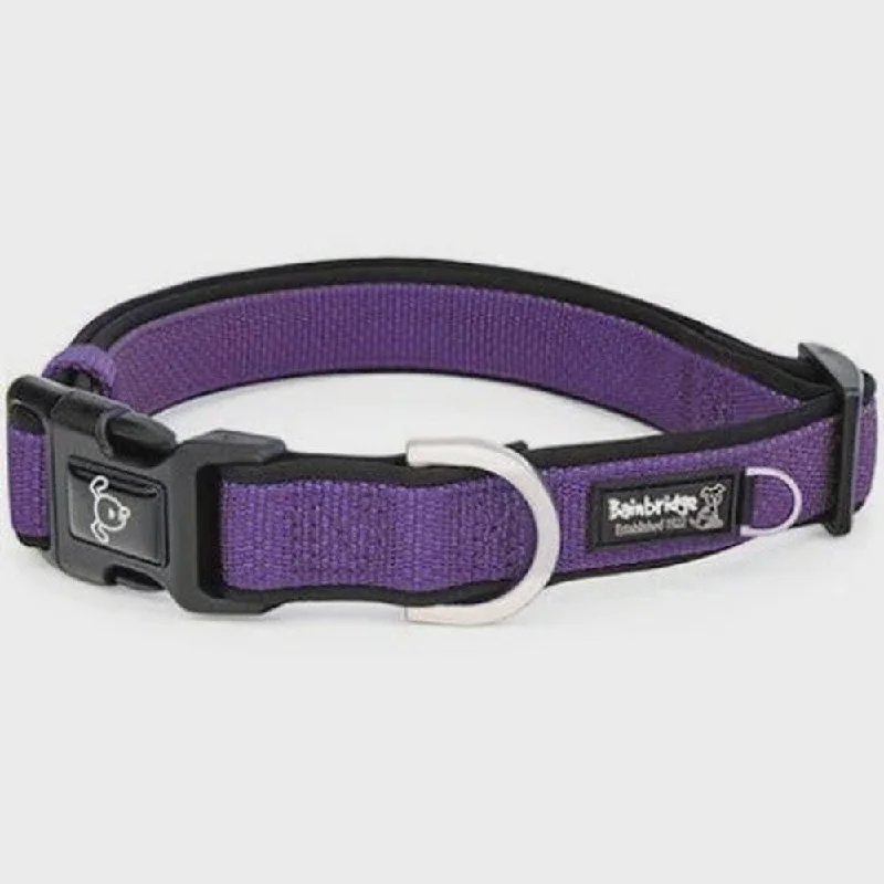 - Cat anti-jump window safety netPremium Sport Neoprene Dog Collar - Medium - (35-55cm) - Purple