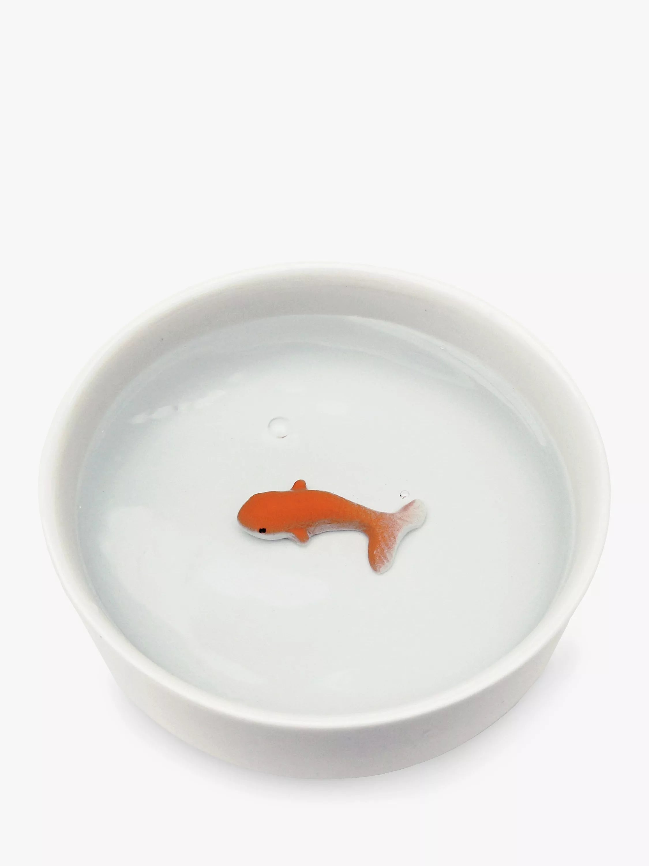    - Grain-free cat food recommendations  SUCK Goldfish Pet Cat Ceramic Water Bowl