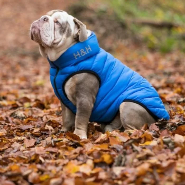 Cat clothesHugo & Hudson - Reversible Puffer Jacket - Blue/Navy