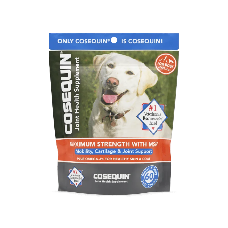 - Pregnant cat delivery room warming boxNutramax Cosequin Joint Health Supplement for Dogs - With Glucosamine, Chondroitin, MSM, and Omega-3's